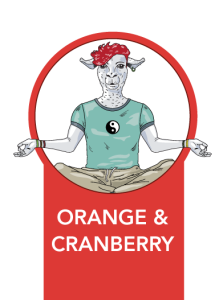 Granola ZEN Orange and Cranberry